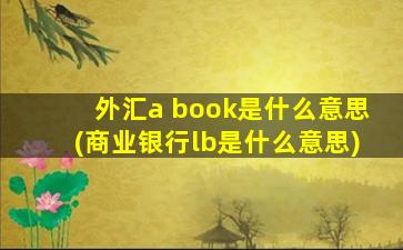 外汇a book是什么意思(商业银行lb是什么意思)